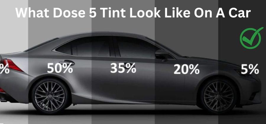What Does 5 Tint Look Like