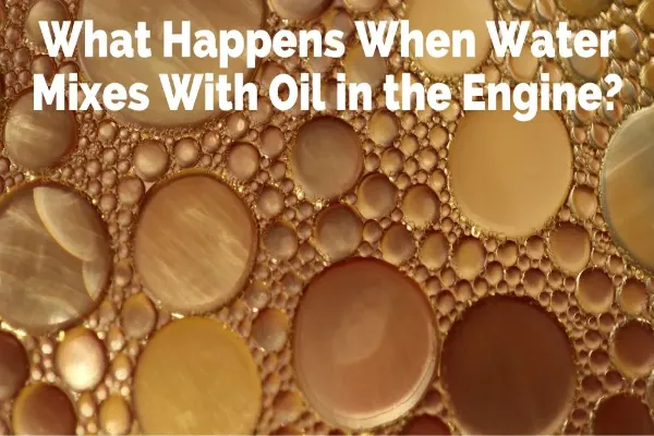 What Happens When Oil And Water Are Mixed