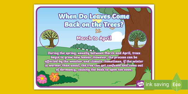 When Will The Leaves Come Back