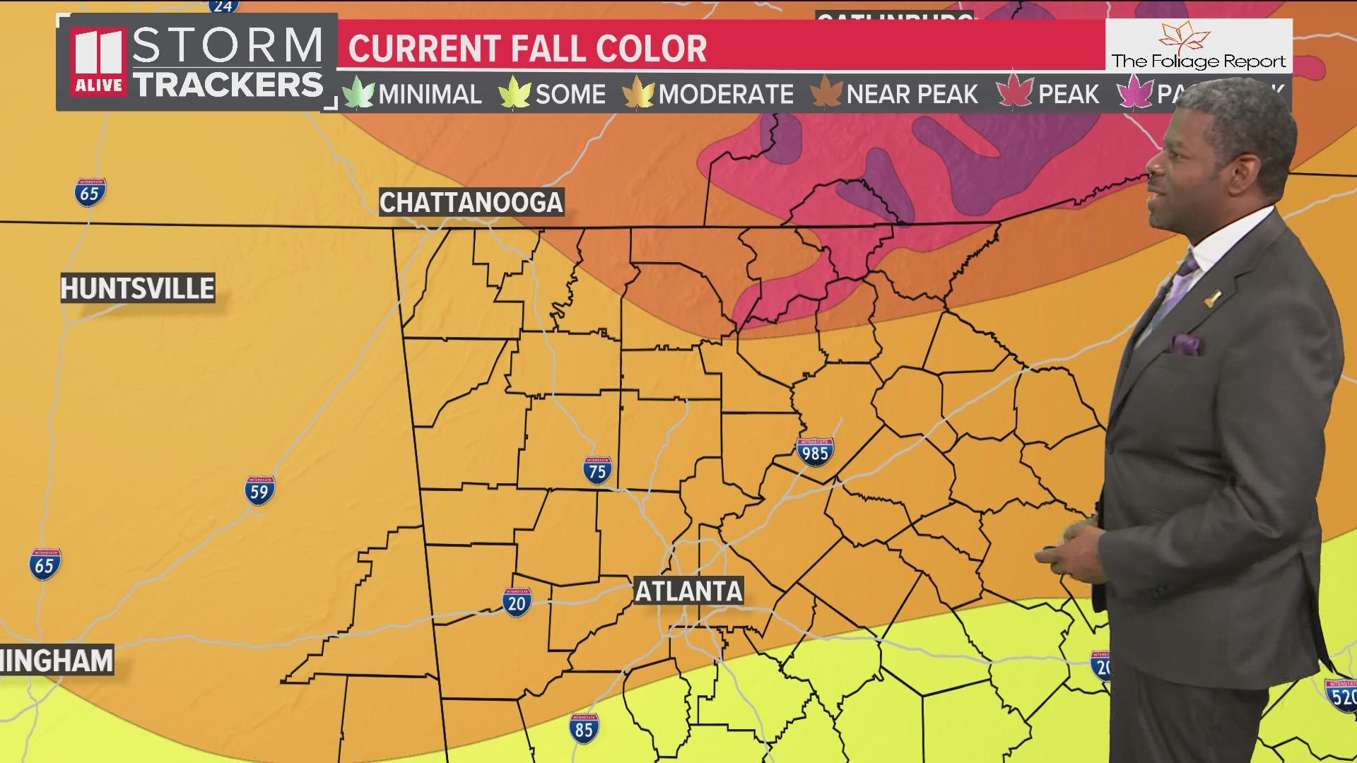 When Do Leaves Change Color In Georgia