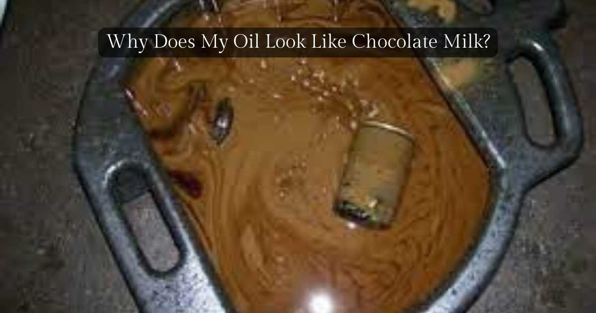 Oil Looks Like Chocolate Milk