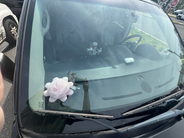 Why Is My Windshield Crack Getting Bigger